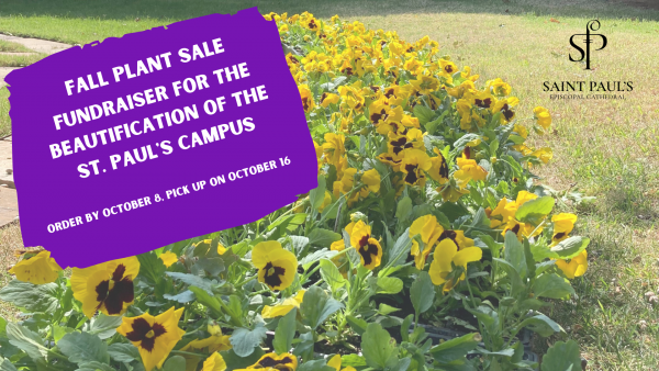 FALL PLANT SALE: ORDERS TAKEN THROUGH OCTOBER 8!